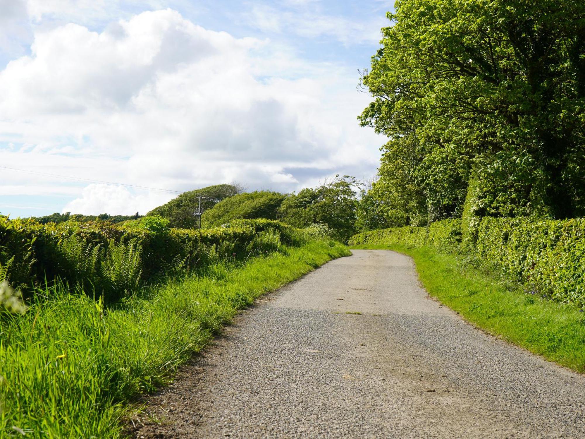 Roe Deer Lodge Newton Stewart Dış mekan fotoğraf